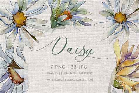 Daisy Watercolor Png Illustrations Creative Market