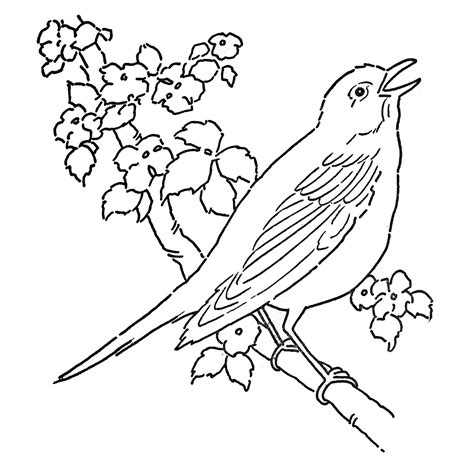 Affordable and search from millions of royalty free images, photos and vectors. Line Art - Coloring Page - Bird with Blossoms - The ...
