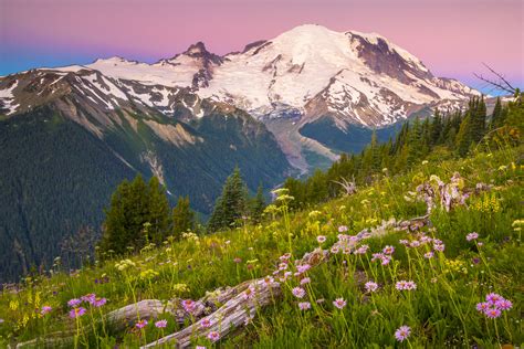 Mount Rainier National Park — Lucas Cometto Wilderness Landscape