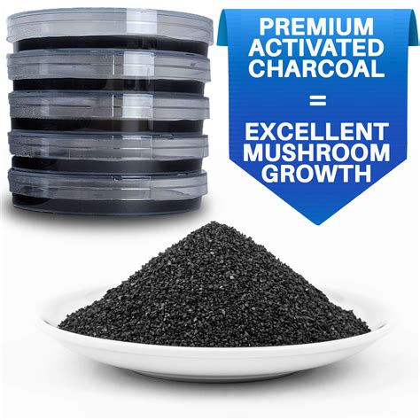 Buy Potato Dextrose Agar Plates With Activated Charcoal Evviva