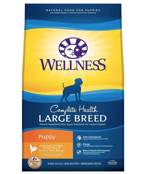 Best Dog Food For Large Breed Puppies What To Feed Your Big Puppy