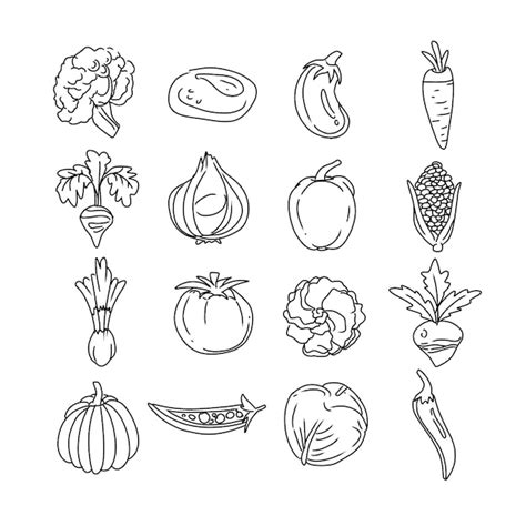 Premium Vector Vegetables Hand Drawn Doodle Illustrations Vector Set