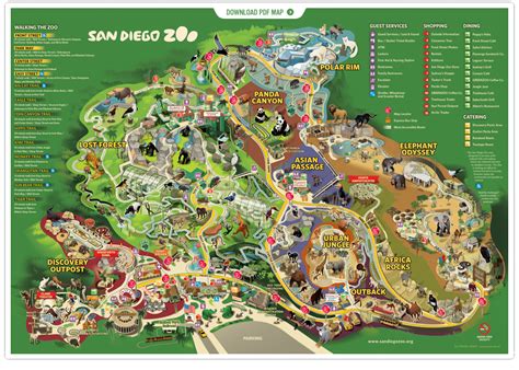 San Diego Zoo List Of Major Zoos In The Us Wiki Fandom Powered By