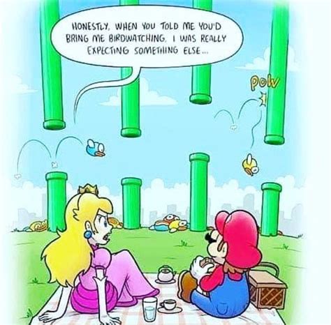 Mario And Princess On A Picnic Funny Meme Pictures