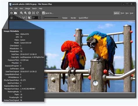 Top 7 Photo Viewer Software For Windows 10