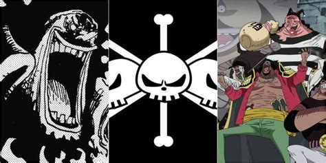 one piece the blackbeard pirates explained