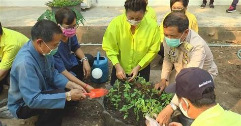 ข่าวทั่วไทยออนไลน์ : ผู้ว่าฯพิจิตร ชวนปลูกผักสวนครัวในรั้วบ้านตนเอง ...
