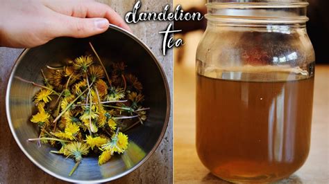 How To Make Dandelion Tea From Fresh Dandelions Youtube