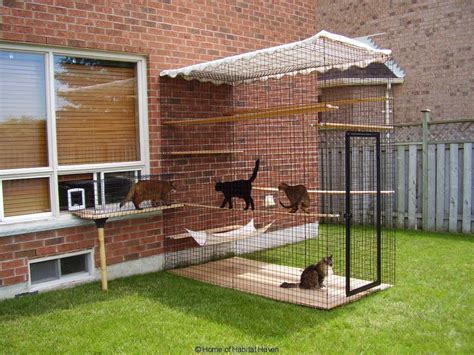 30 Best Perfect Living Space For Pets Ideas Outdoor Cats Outdoor Cat