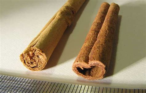 Cinnamon 10 Potent Health Benefits The Best Type Of Cinnamon