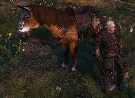 The Witcher 3 Nexus Mods And Community