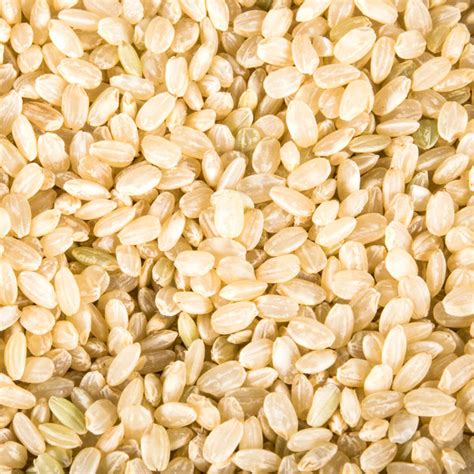 Regal Foods Organic Brown Short Grain Rice 5 Lb