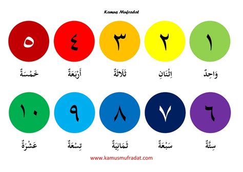 Tunjukkan (dengan alat penunjuk) kata yang sesuai dengan bunyi yang diperdengarkan, lalu ucapkan ! Angka 1 Sampai 30 Dalam Bahasa Arab dan Artinya - Kamus ...
