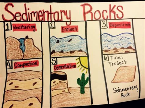 How Are Sedimentary Rocks Formed Process Of Formation Forestry Bloq