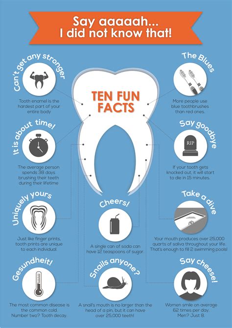 10 Fun Facts About Your Teeth Infographic Encore Dental