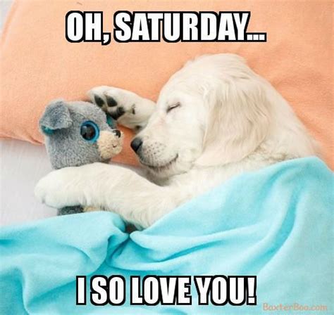 Puppy Loves Saturday Cuddles With Dog Toy Puppy Cuddles Puppy Quotes Cuddling Meme