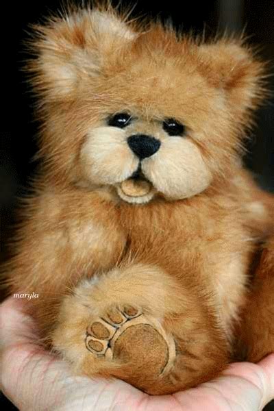 Adorable Animated Teddy Bear Pictures Photos And Images For Facebook