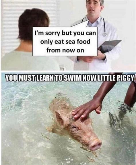 I Eat Wet Pussy All The Time 9gag