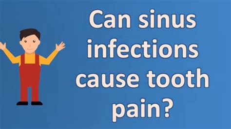 Can Sinus Infections Cause Tooth Pain Most Rated Health Faq Channel