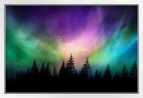 Aurora Borealis Northern Lights Over Canadian Forest Photo Photograph