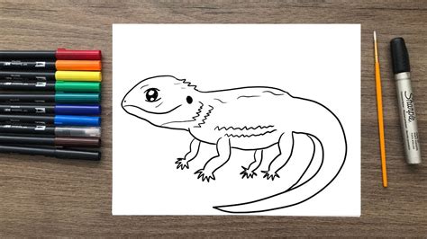 How To Draw A Bearded Dragon Youtube
