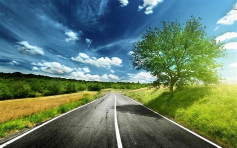 Downloading Summer Forest Tree Road Background Hd Photo Image Free
