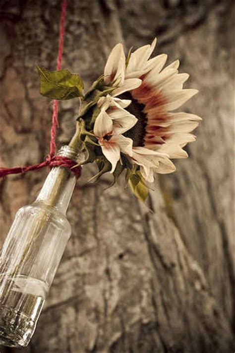 Austin area weddings alright so we've definitely covered something old, a whole lot of something new ((peep our latest, everything is trendy/new/what's hot in weddings rn)), and recently a bunch of something blue, but borrowed isn't as obvious. The Complete Guide on Planning a Hippie Wedding Ceremony | | TopWeddingSites.com