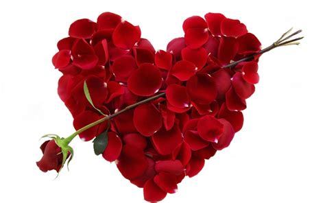 Images Of Valentines Day Flowers Roses The Digest