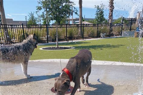 Off Leash Dog Parks In Tampa Fl Bringfido