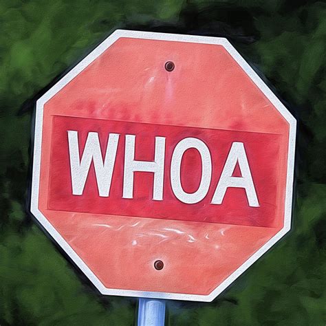 Whoa Stop Sign Digital Art By Jc Findley Fine Art America