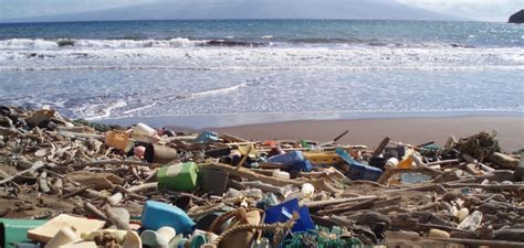 Marine Pollution Control Causes And Effects