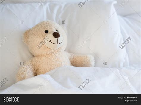 Cute White Teddy Bear Image And Photo Free Trial Bigstock