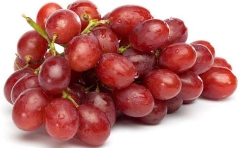 | carolyn jerry buah epal dapat membantu anda. 19 Manfaat Buah Anggur Merah untuk Kesehatan ...