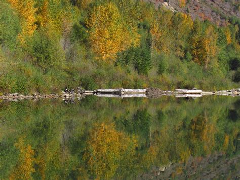 Maybe you would like to learn more about one of these? Coldwater Lake Trail at Mt. St. Helens | Coldwater Lake ...