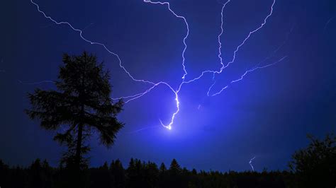 Landscapes Trees Night Storm Lightning Electric Wallpaper 1920x1080
