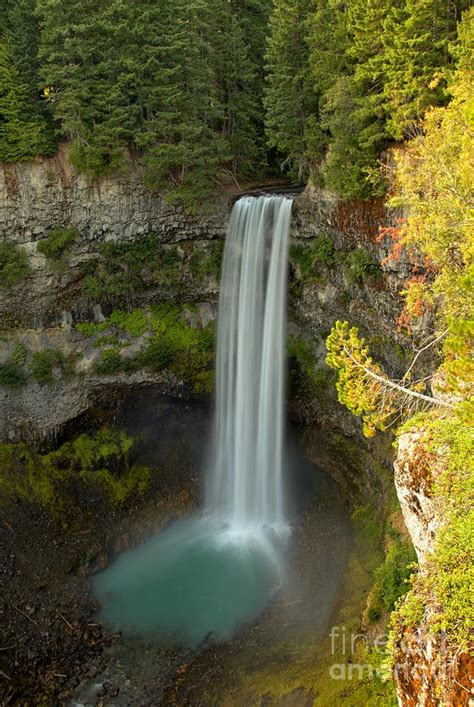 Brandywine Falls British Columbia Photograph By Adam Jewell