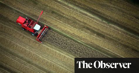 New Eu Biofuels Law Could Be Last Straw For Farmers Hit By Wet Weather
