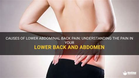 Causes Of Lower Abdominal Back Pain Understanding The Pain In Your