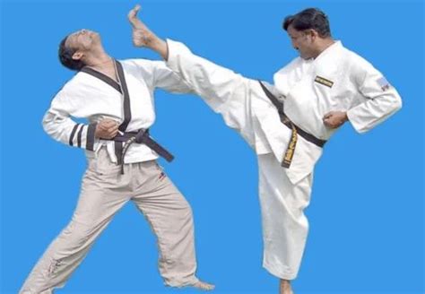 Best Of Shotokan Karate Training Camp Popular Benefits Of Learning