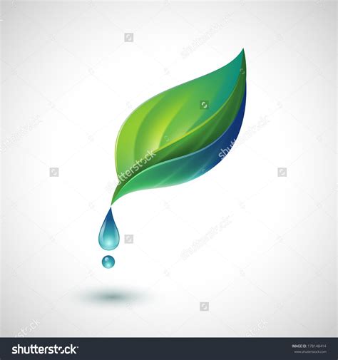 Green Leaf With Water Drop Eps10 Vector 178148414 Shutterstock