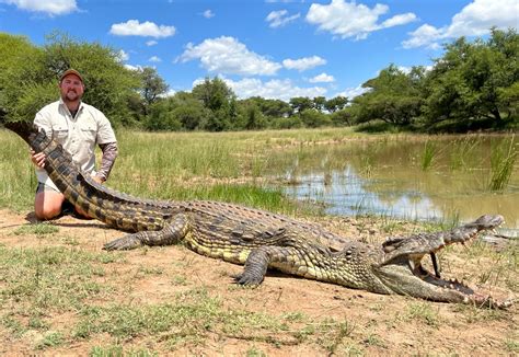 Crocodile Hunt With Africa Sun Safari