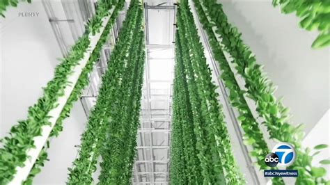 Compton Unveils Citys New Indoor Vertical Farm Designed To Grow Up To