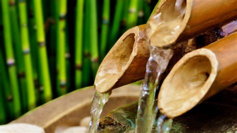 Build Japanese Bamboo Water Fountain Fountain Design Ideas