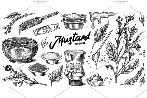 Mustard Seeds And Plant Set Mustard Mustard Seed Bottle Drawing