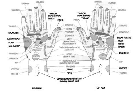 Reflex Or Pressure Points In The Palm 9 Learn Self Healing Techniques Online