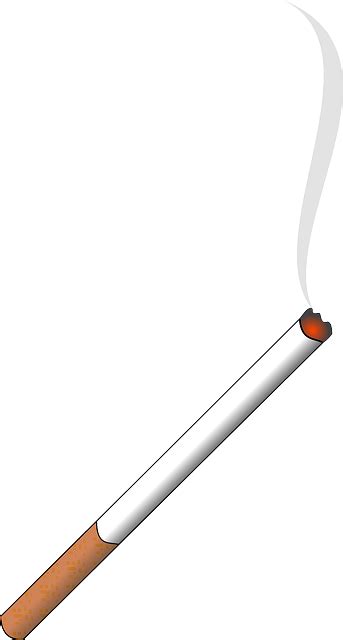 Zigarette Rauchen Zündete Kostenlose Vektorgrafik Auf Pixabay Pixabay