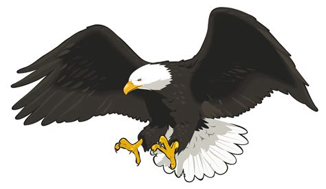 Free Eagle Clipart Png Download Free Eagle Clipart Png Png Images