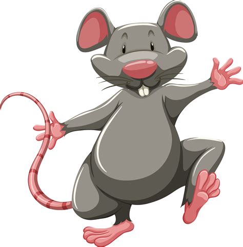 Transparent Background Rat Clipart Rats Eats A Variety Of Foods