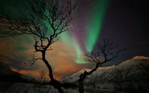 Aurora Borealis Over Winter Mountain Hd Wallpaper Background Image