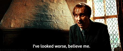 15 Harry Potter Fan Theories That Will Rock Your World